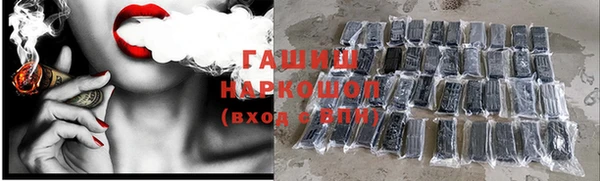 шишки Алексин