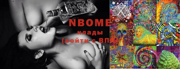 шишки Алексин