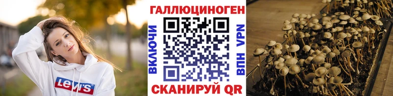 что такое   Беломорск  Псилоцибиновые грибы мухоморы 